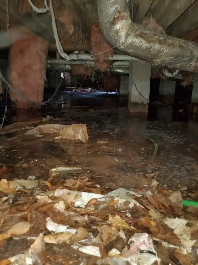 Crawl space flood assessment for Leak Detection & Repair in Bay City