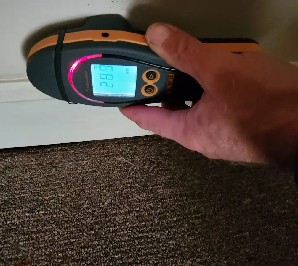 Moisture detection at baseboard during Mold Inspection & Testing in Bay City